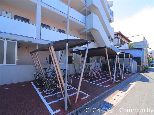 エバーグリーン その他7