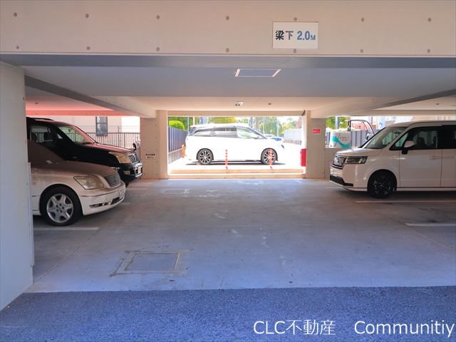 エバーグリーン その他13