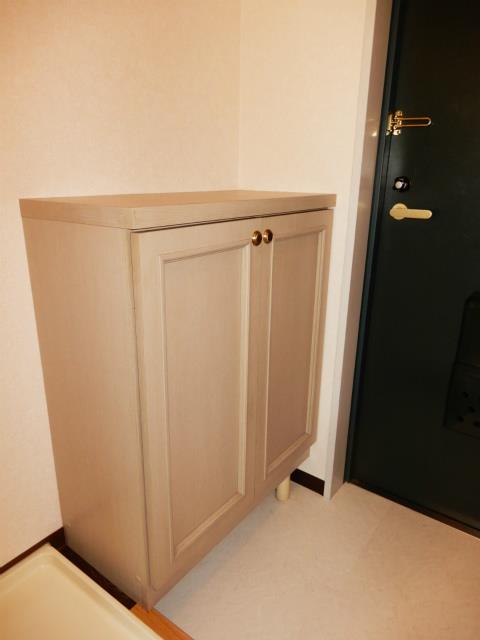 エクセレンス岸谷 玄関