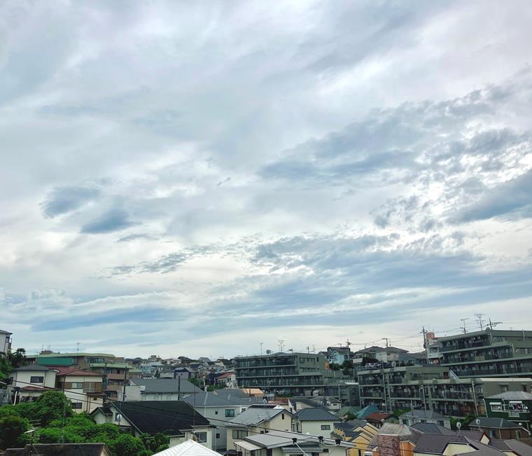 六角橋戸建 その他7