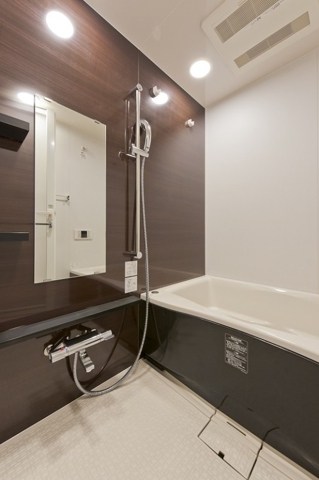 レジディア蒲田Ⅴ 風呂画像