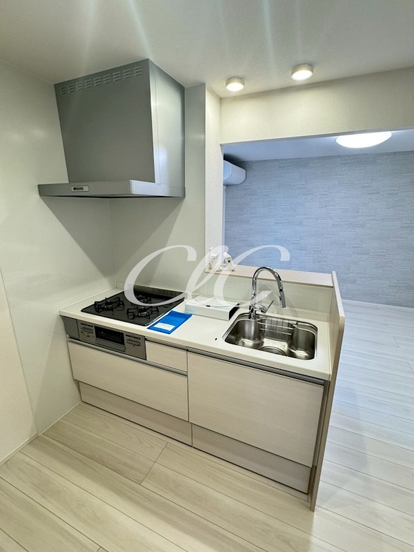 D Paina　上平間Ⅰ キッチン