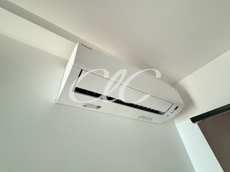 Bichinada  その他5