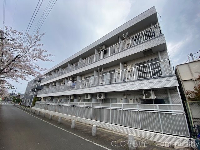 トーシンハイツ堀江 外観