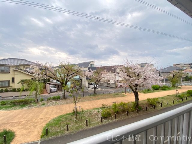 トーシンハイツ堀江 その他5