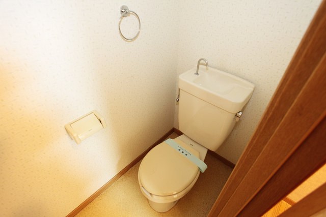 メゾン新川崎 その他2