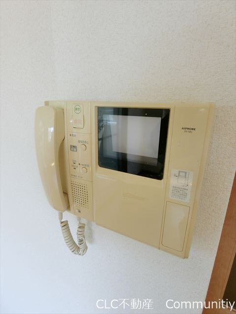 ルピナス・キクヨ その他2