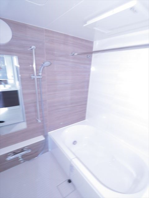 アドライズ舞浜 風呂画像