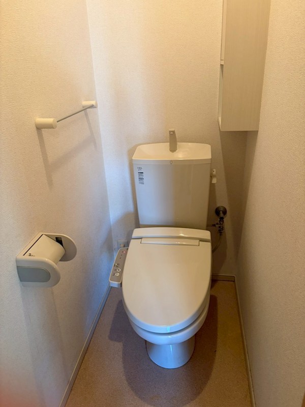 プリムローズ その他1