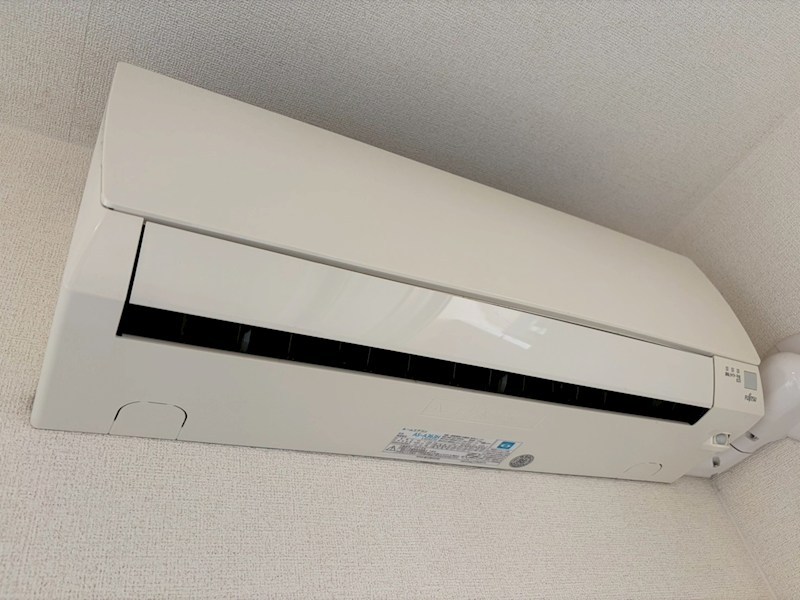 プリムローズ その他3