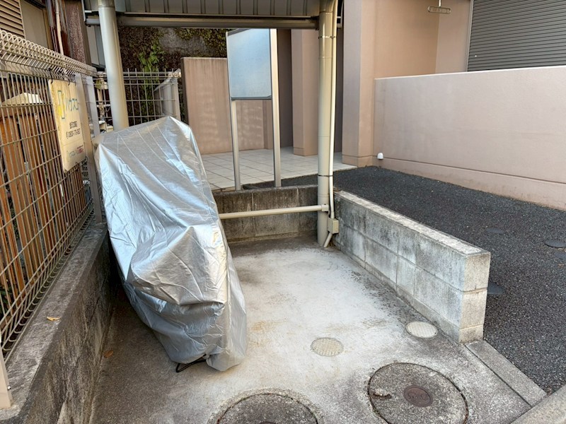 プリムローズ その他5