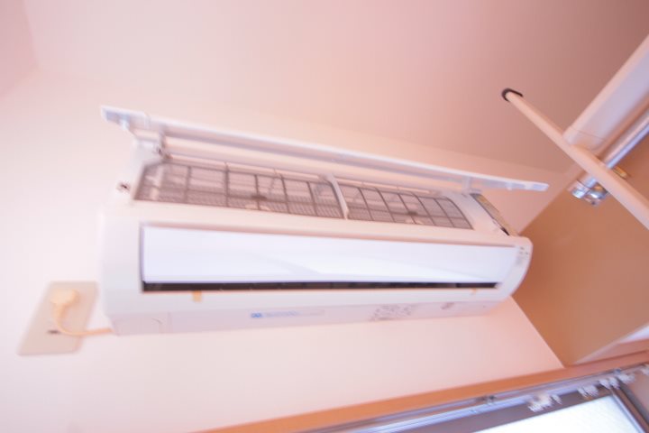 フローラ4 その他3