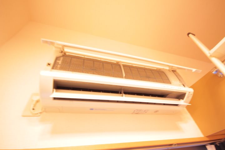 フローラ4 その他3