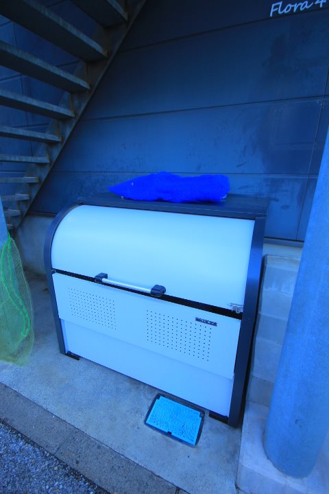 フローラ4 その他12