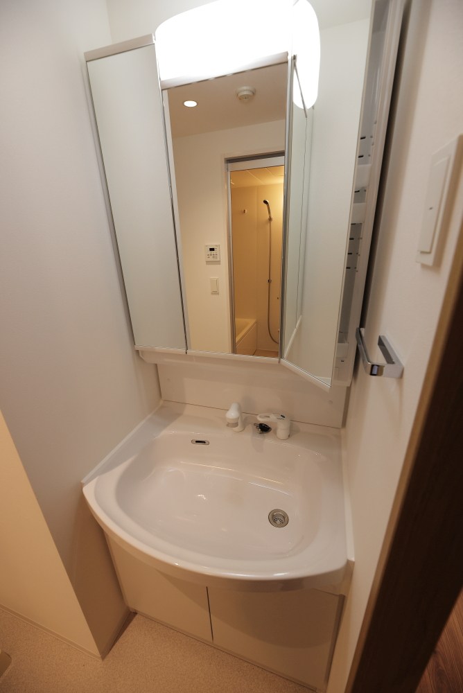 リーラ横浜川和町 その他2