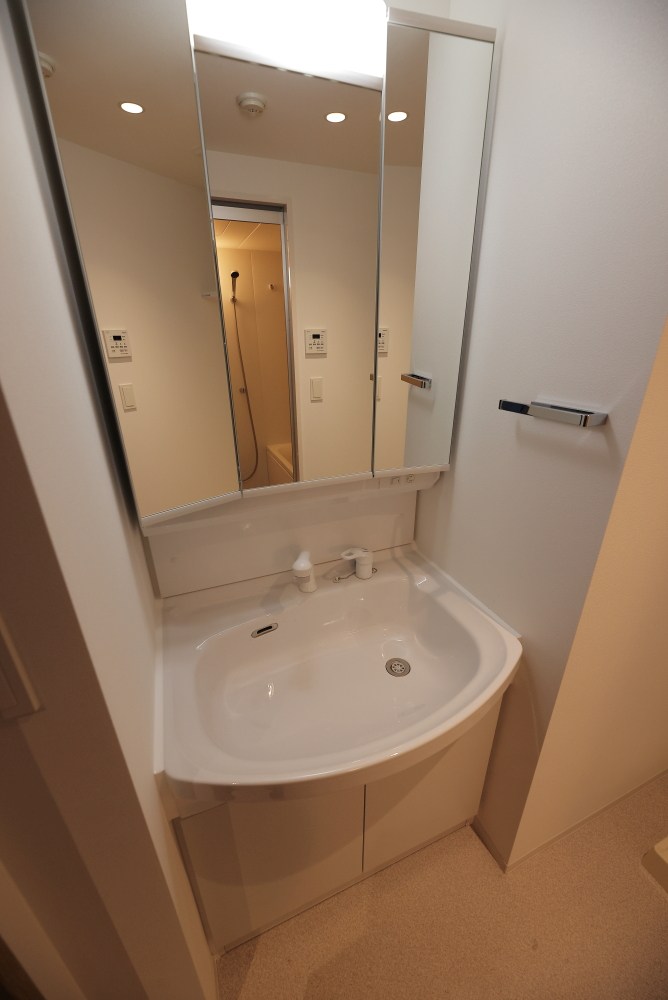 リーラ横浜川和町 その他2