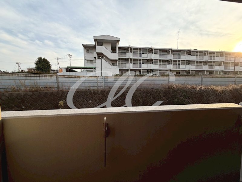 ウィンビュ三ツ沢 その他4