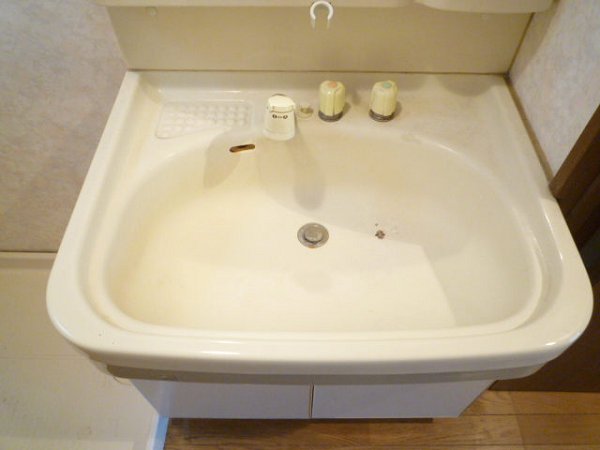 ガーデンアイリス その他2