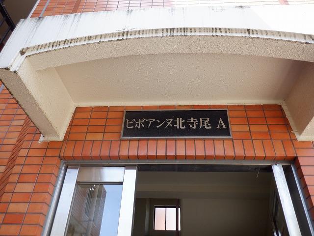 ピボアンヌ北寺尾Ａ棟 その他1