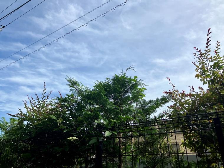 プライム川崎小島新田 その他7