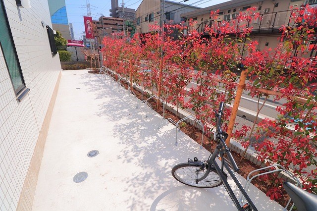 Gelatoni浦安 その他11