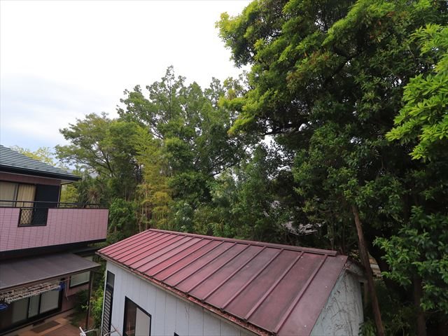 リリックコートスカイⅡ その他6