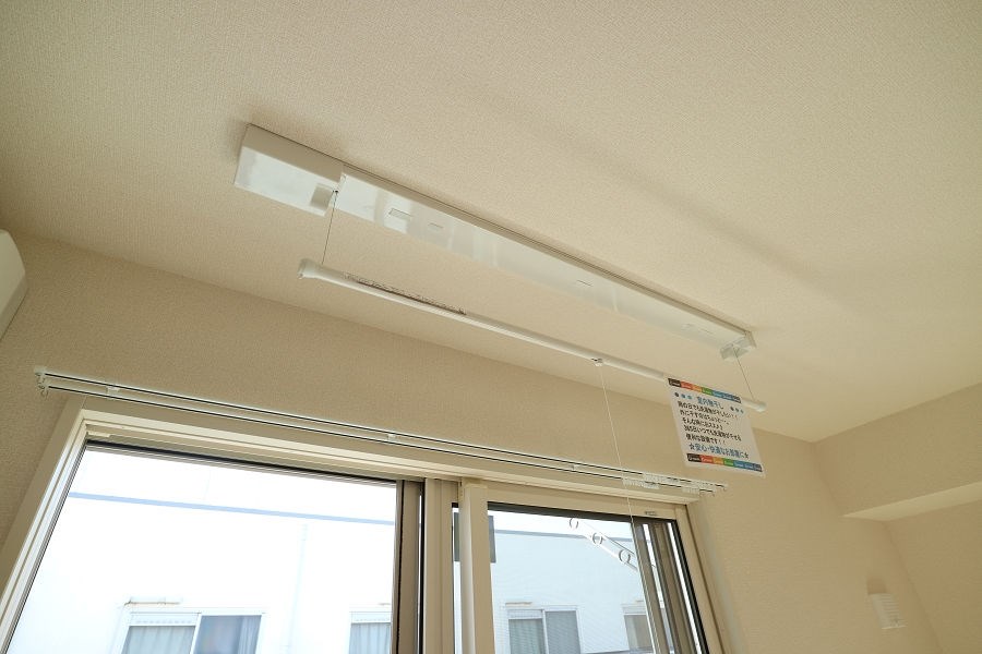 アルブル  その他6