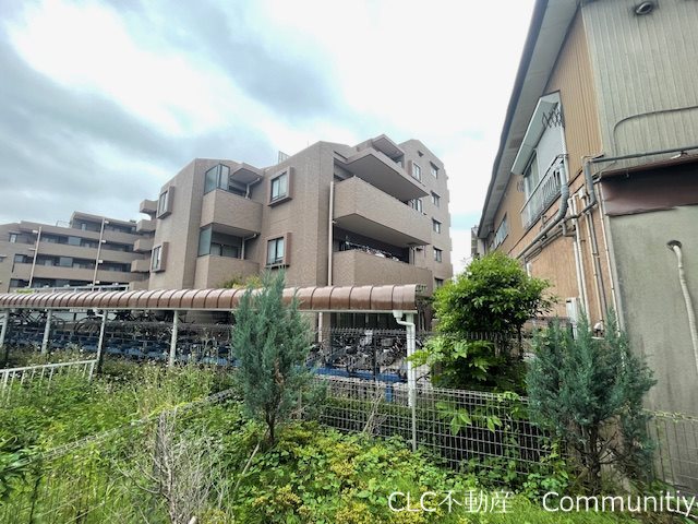 フェリシータ その他7