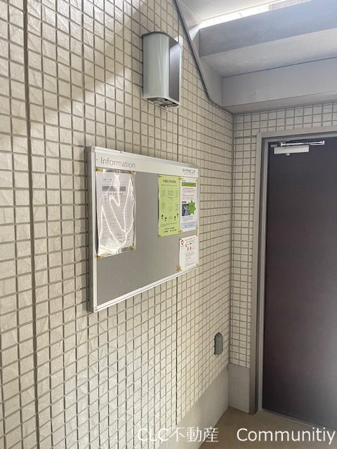 フェリシータ その他12