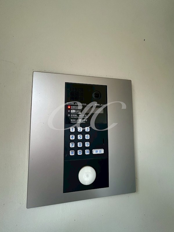 プリマベーラ その他11