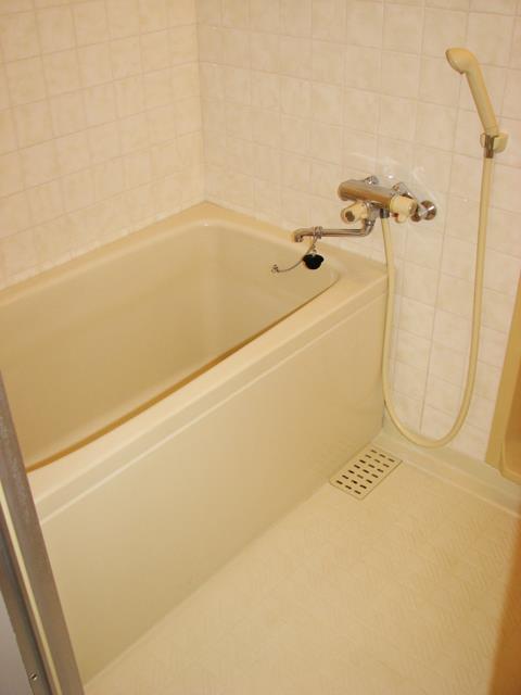 ヴェルドゥミール 風呂画像