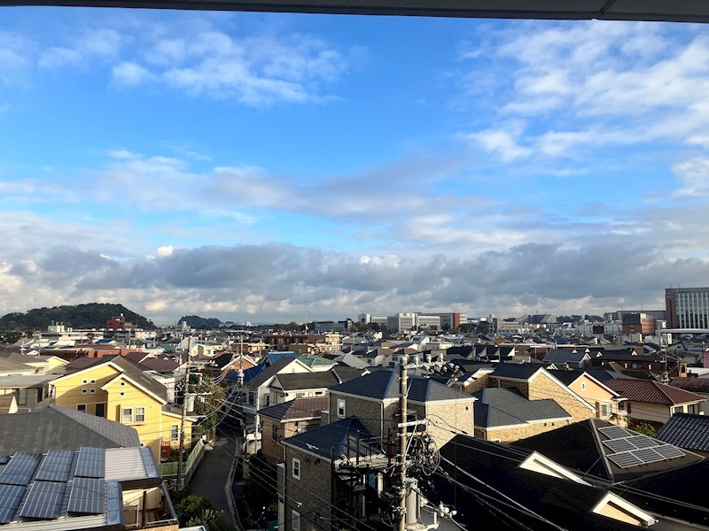 GARDEN PLANTS その他13