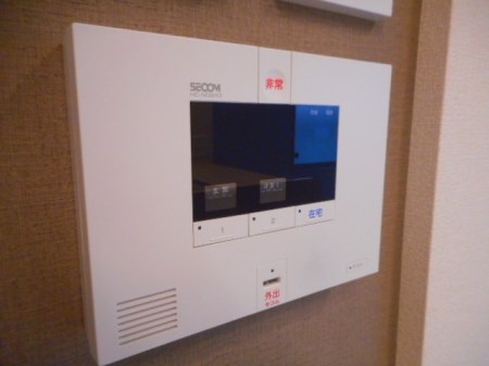 ルアナ その他4