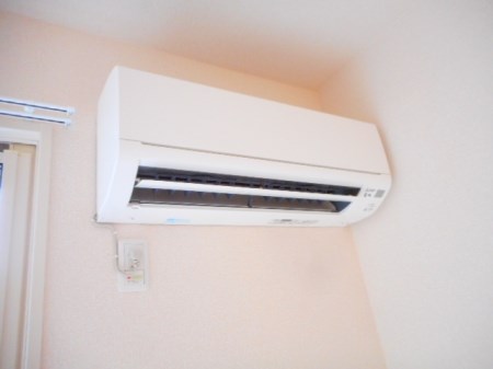 ルアナ その他11