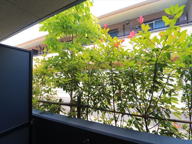 ディームス浦安 その他6