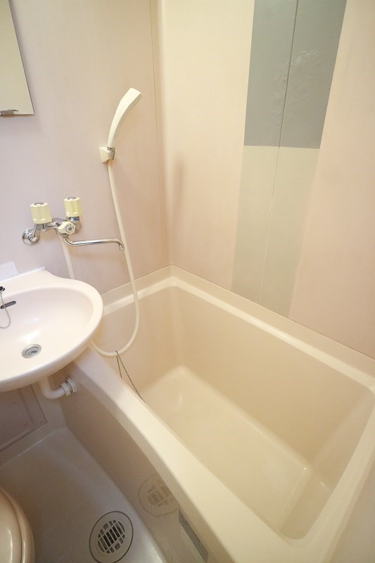 ヴェルドミール  風呂画像