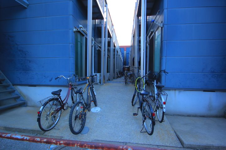 フローラ4 その他6