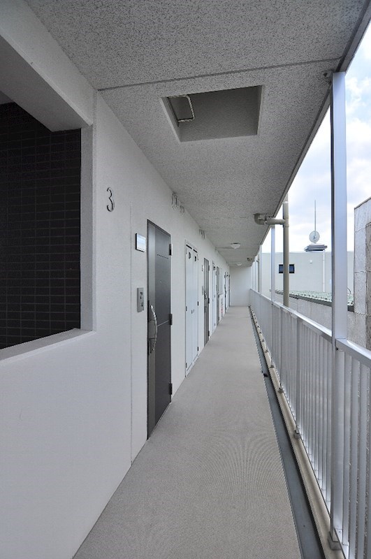 ピーノ・トロンコ その他7