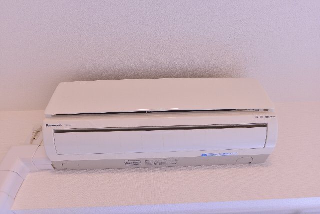 ピーノ・トロンコ その他10