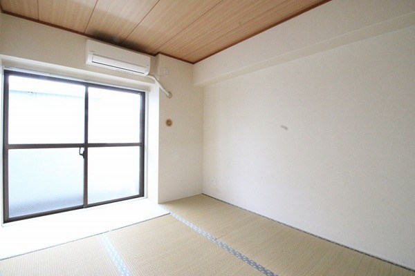 LAZ KONANDAI その他1