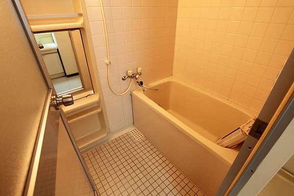 新川崎ロイヤルパレス 風呂画像