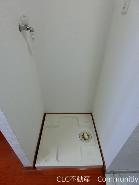 エバーグリーン その他6