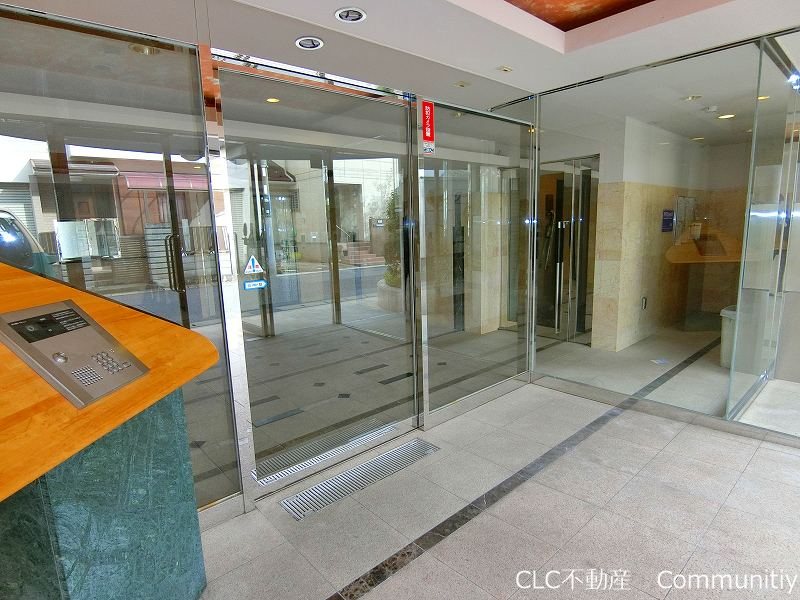 エバーグリーン その他7