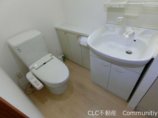 エバーグリーン その他10