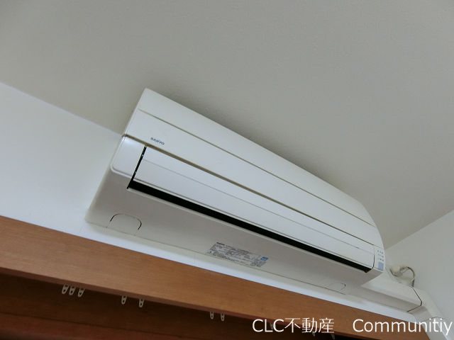 エバーグリーン その他11