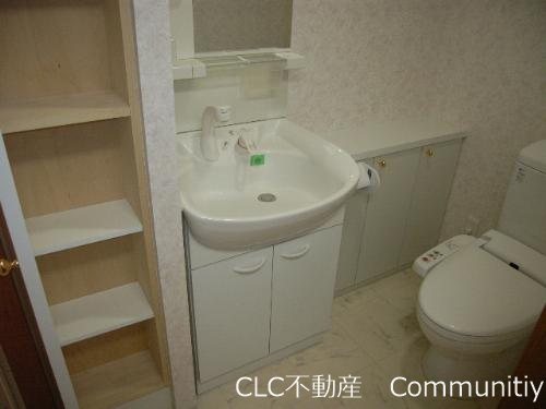 エバーグリーン その他1