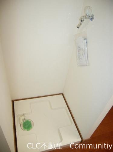 エバーグリーン その他6