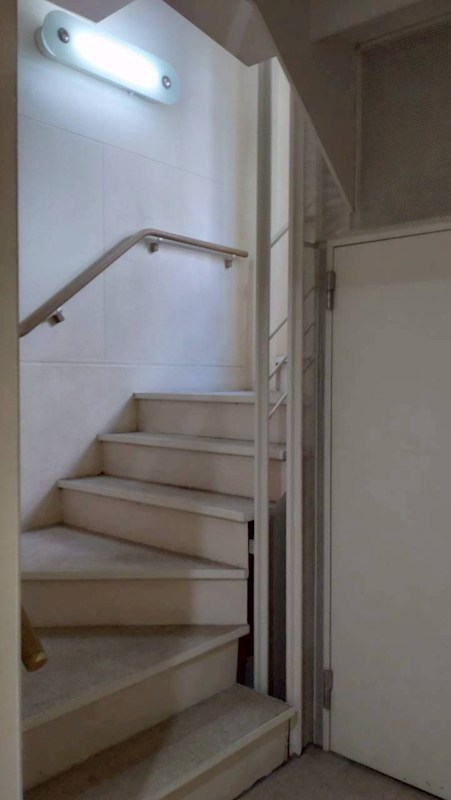 プルメリアガーデン その他12