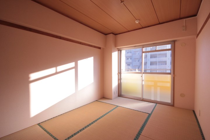 その他12