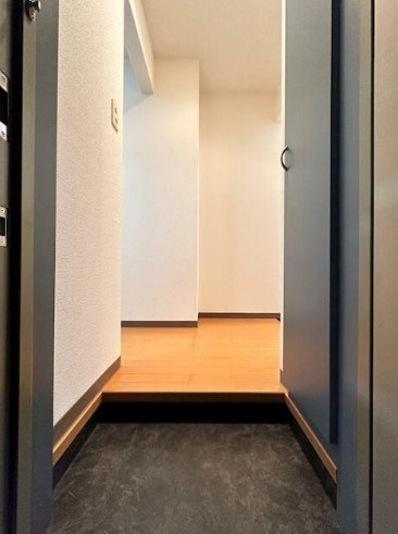 ツインキューブB 玄関